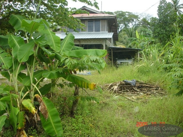 DSC01301 Malay House
