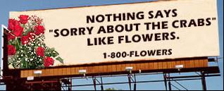 sorryflowers